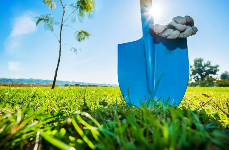 Close-up of a blue shovel stuck in the grass with work gloves resting on top, next to a newly planted tree on a sunny day.